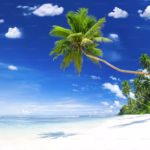 現在の画像に代替テキストがありません。ファイル名: White-sand-Beach.avif