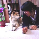 現在の画像に代替テキストがありません。ファイル名: モコマリア.jpeg